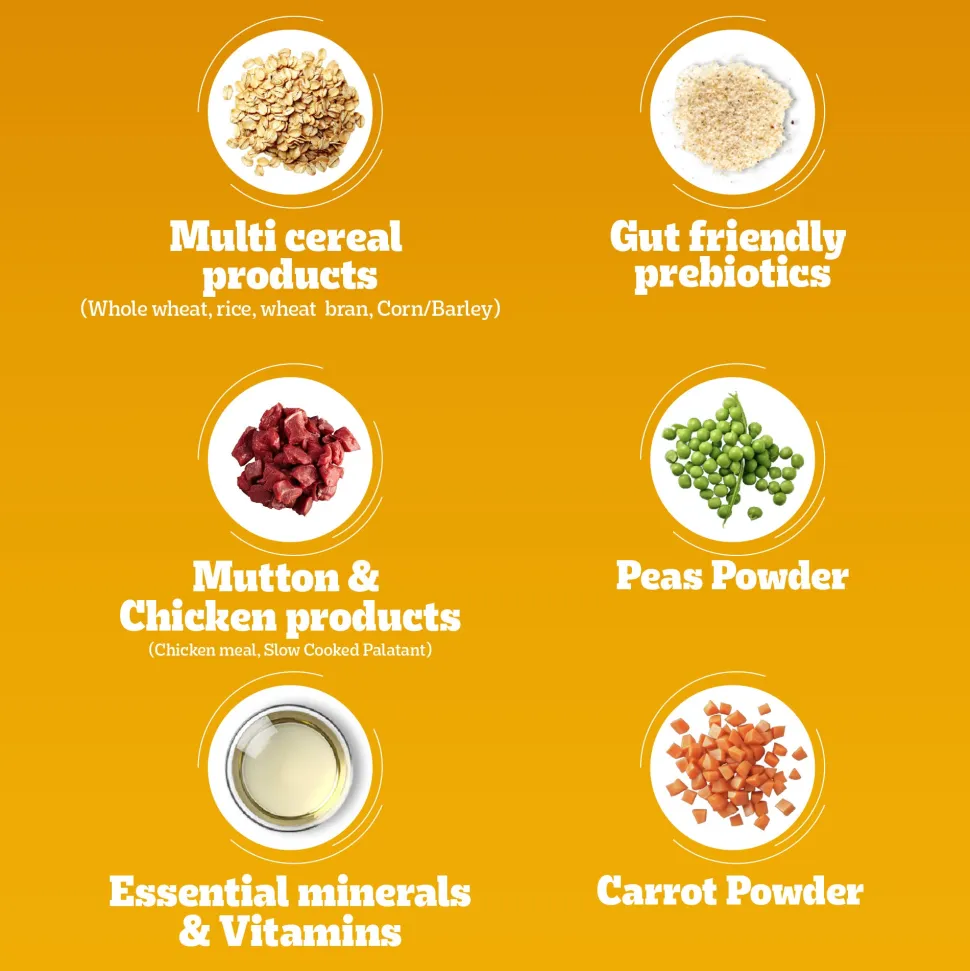 Pedigree Meat & Rice Dry Food For Adult Dog