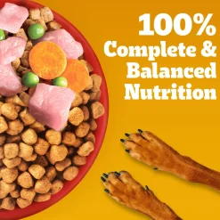 Pedigree Meat & Rice Dry Food For Adult Dog