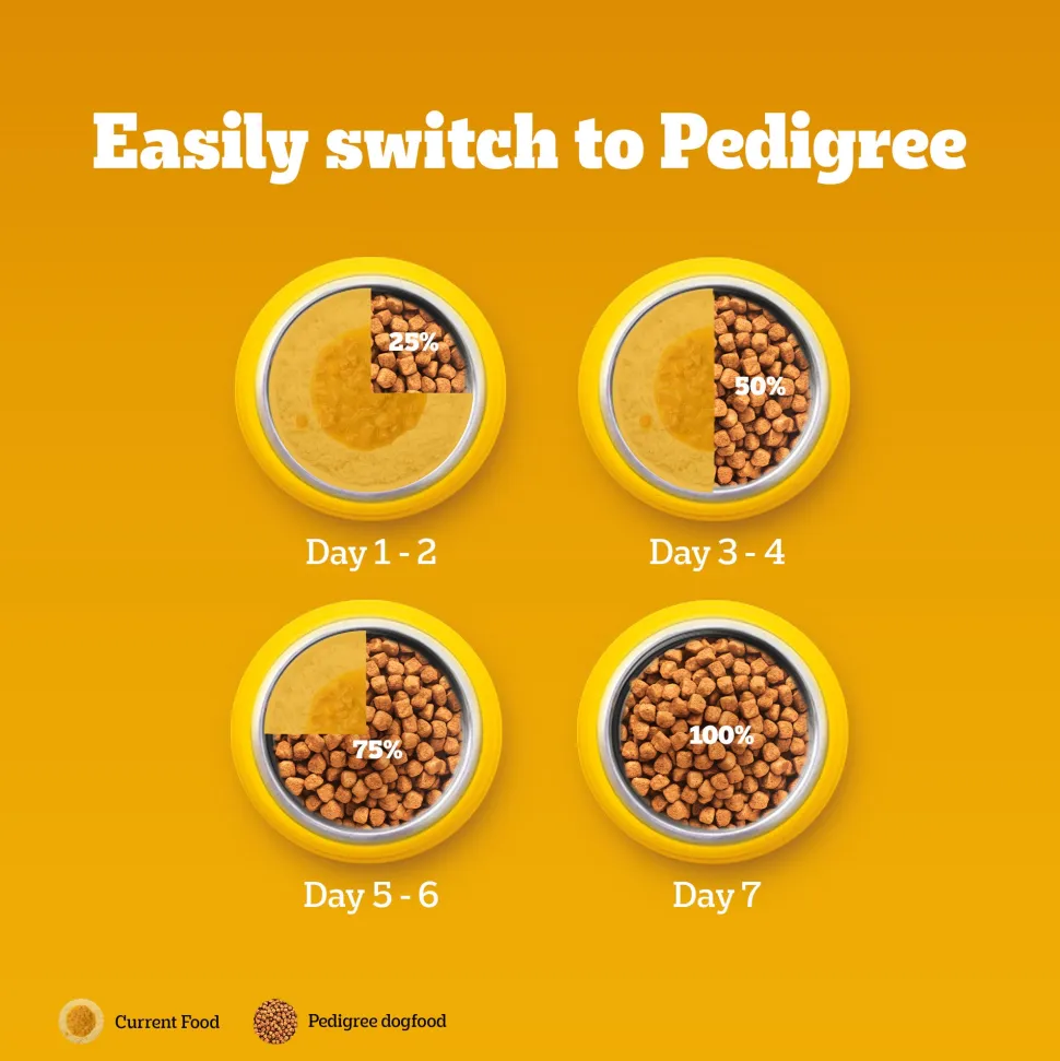 Pedigree Meat & Rice Dry Food For Adult Dog