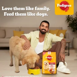 Pedigree Meat & Rice Dry Food For Adult Dog
