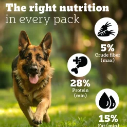 Pedigree PRO Adult Large Breed (18 Months Onwards) Adult Dry Dog Food - (Expert Nutrition)
