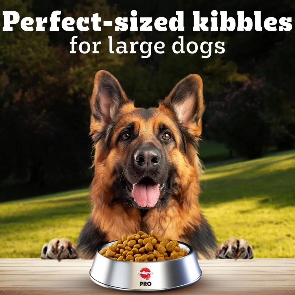 Pedigree PRO Adult Large Breed (18 Months Onwards) Adult Dry Dog Food - (Expert Nutrition)