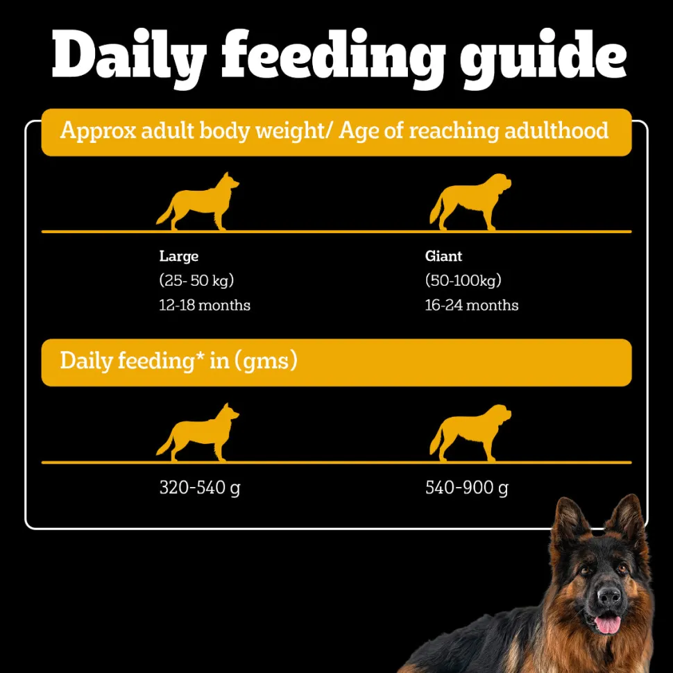 Pedigree PRO Adult Large Breed (18 Months Onwards) Adult Dry Dog Food - (Expert Nutrition)