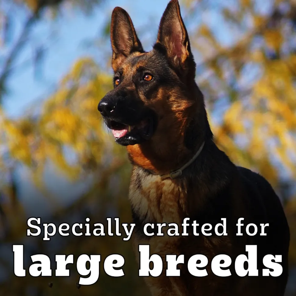 Pedigree PRO Adult Large Breed (18 Months Onwards) Adult Dry Dog Food - (Expert Nutrition)