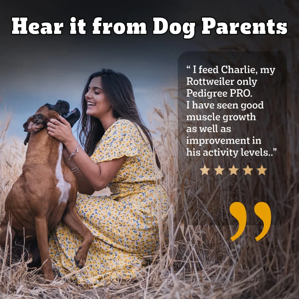 Pedigree PRO Adult Large Breed (18 Months Onwards) Adult Dry Dog Food - (Expert Nutrition)
