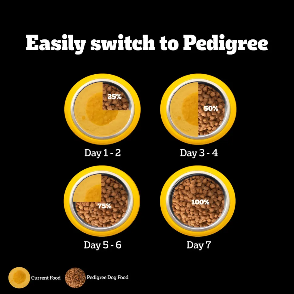 Pedigree PRO Adult Large Breed (18 Months Onwards) Adult Dry Dog Food - (Expert Nutrition)