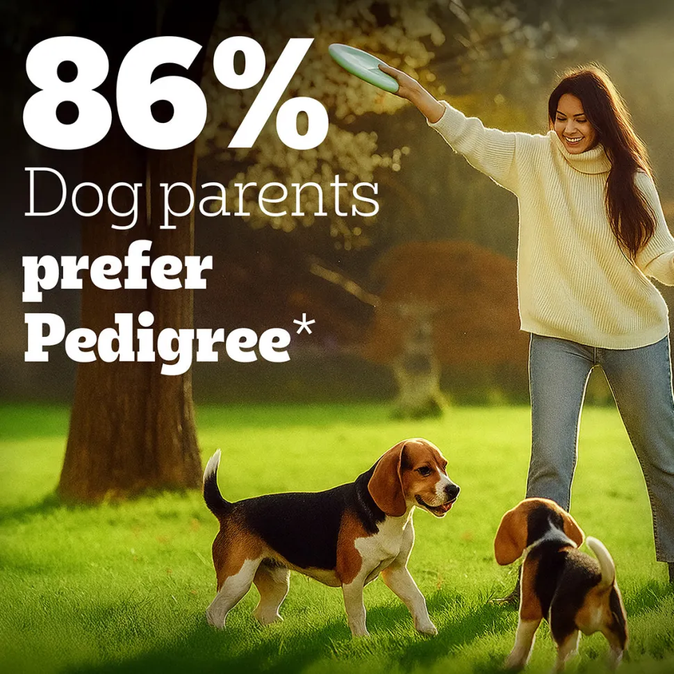 Pedigree PRO Adult Small Breed (9 Months Onwards) Dry Dog Food - (Expert Nutrition)