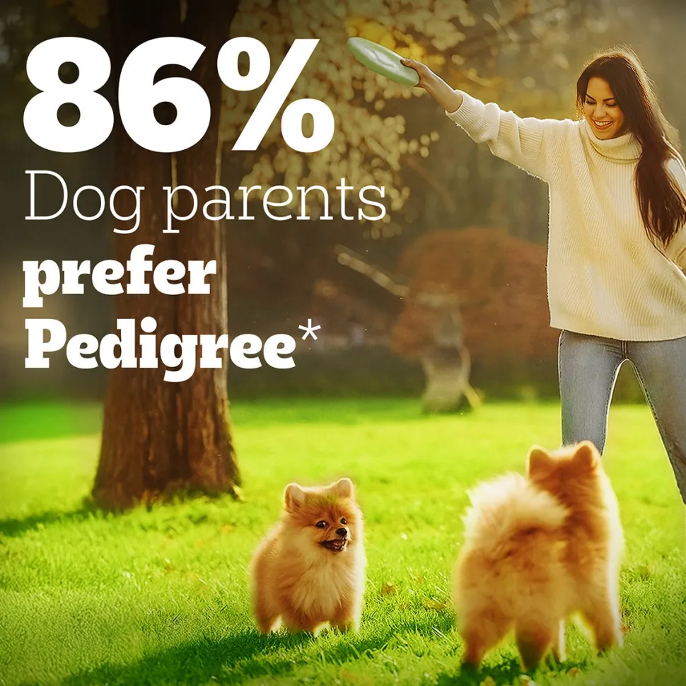 Pedigree PRO Expert Nutrition Small Breed (2-9 Months) Dry Puppy Food