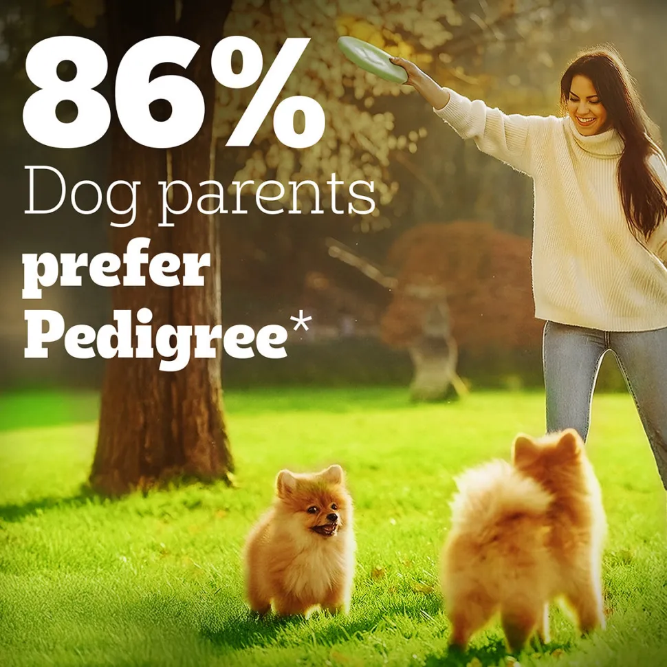 Pedigree PRO Expert Nutrition Puppy Large Breed Dry Dog Food (3-18 Months)