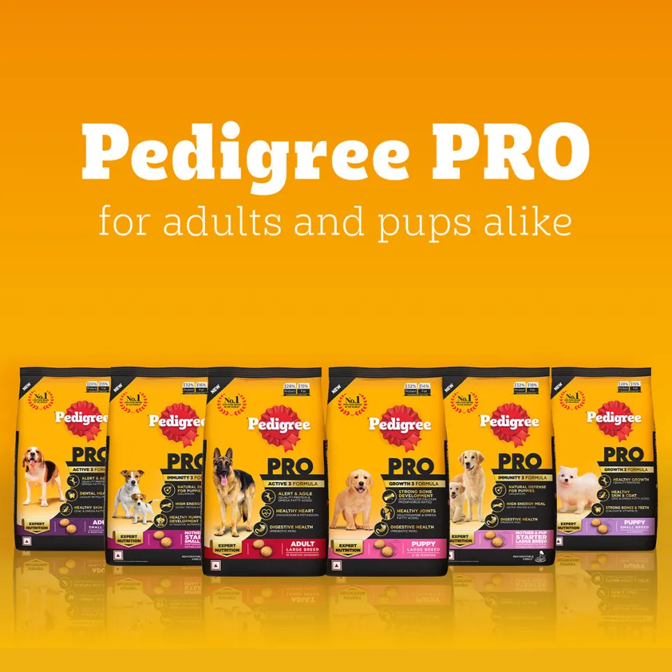 Pedigree PRO Expert Nutrition Puppy Large Breed Dry Dog Food (3-18 Months)