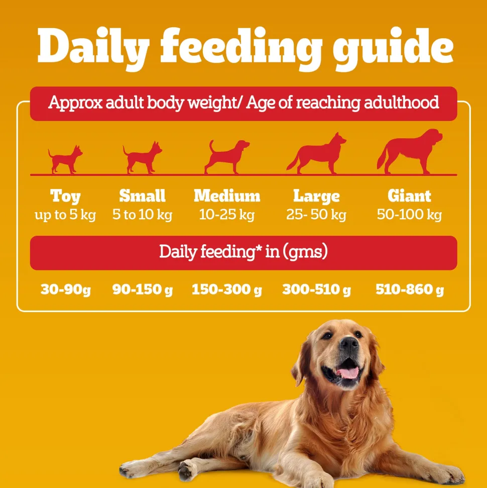 Pedigree 100% Vegetarian Dry Food For Adult Dog & Puppy