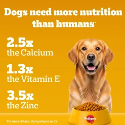 Pedigree 100% Vegetarian Dry Food For Adult Dog & Puppy