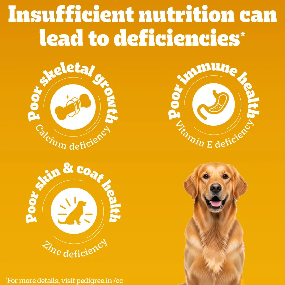Pedigree 100% Vegetarian Dry Food For Adult Dog & Puppy