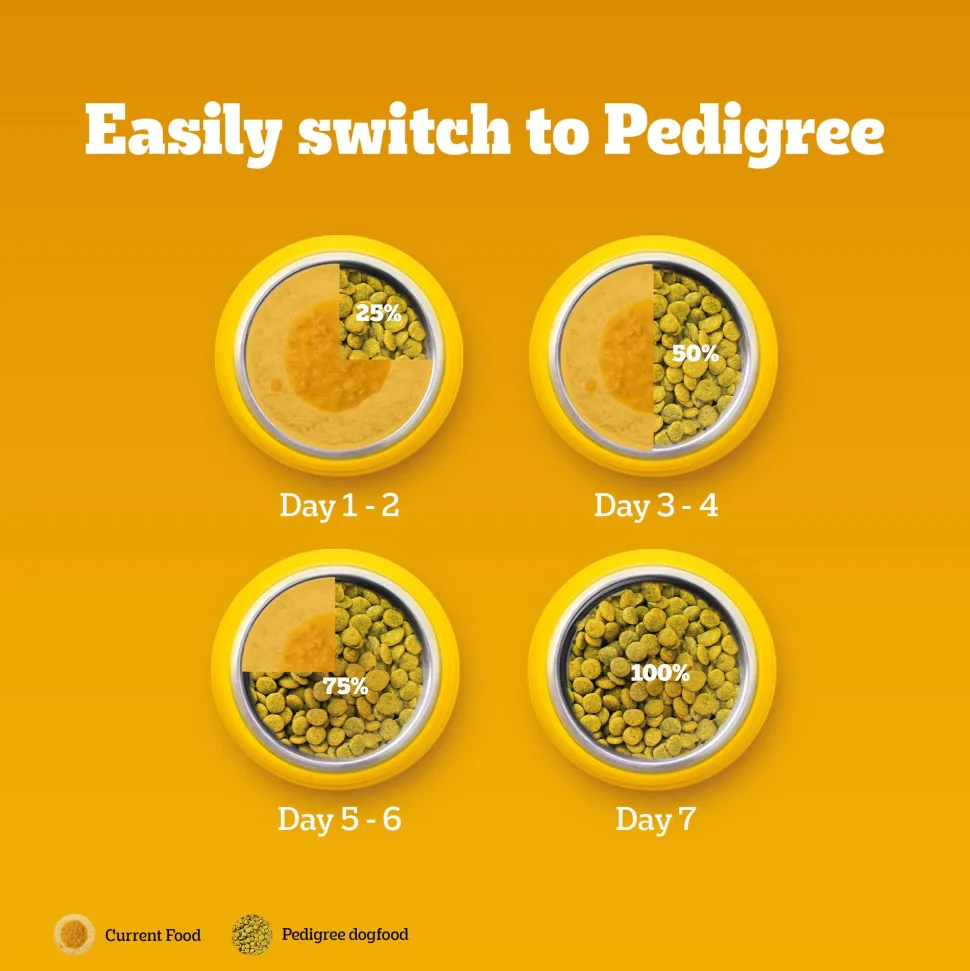 Pedigree 100% Vegetarian Dry Food For Adult Dog & Puppy