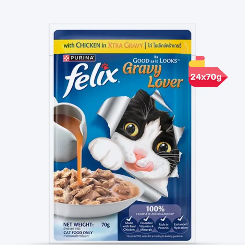 Purina Felix Gravy Lover Chicken Wet Food For Cat - 70 gm
