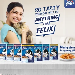 Purina Felix With Chicken In Jelly Adult Cat Wet Food - 85 g