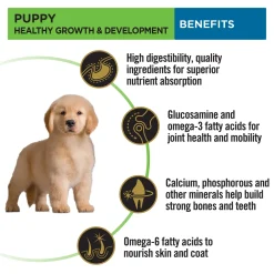PURINA PRO PLAN Healthy Growth & Development Dry Food For Puppy - Large Breed
