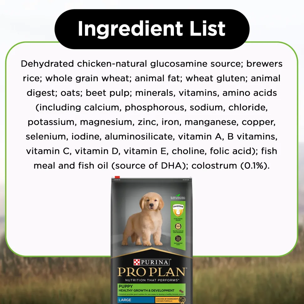 PURINA PRO PLAN Healthy Growth & Development Dry Food For Puppy - Large Breed
