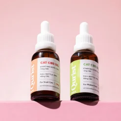Qurist CBD Oil For Small Cat (Below 5 kg) - 450 mg - 30 ml