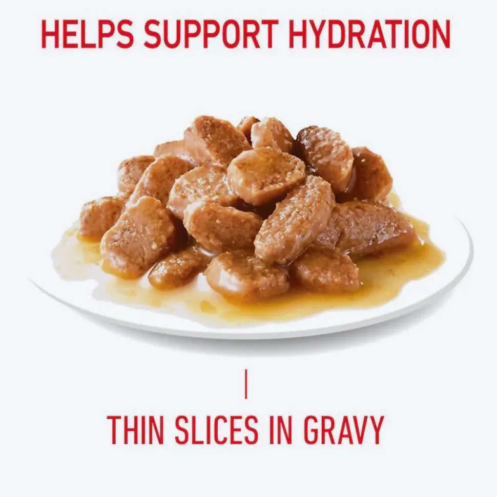 Royal Canin Hair & Skin Care In Gravy Adult Cat Wet Food - 85 g