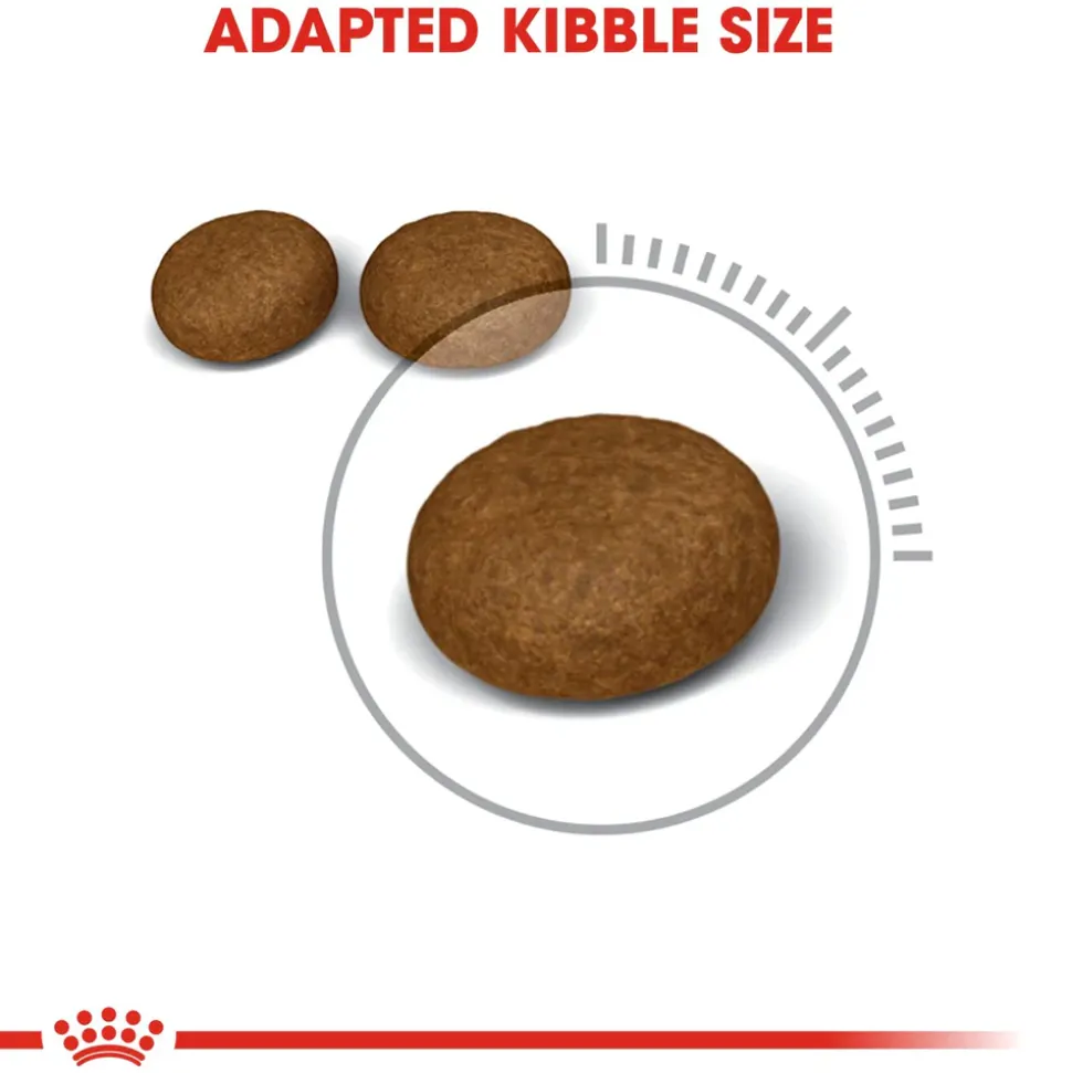 Royal Canin Hair & Skin Care Dry Cat Food