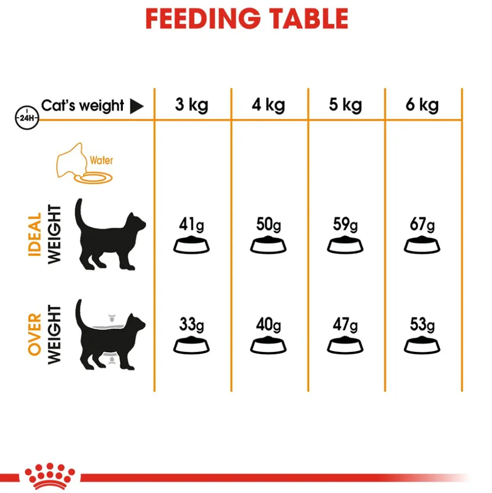 Royal Canin Hair & Skin Care Dry Cat Food