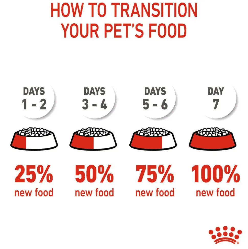 Royal Canin Kitten Dry Cat Food