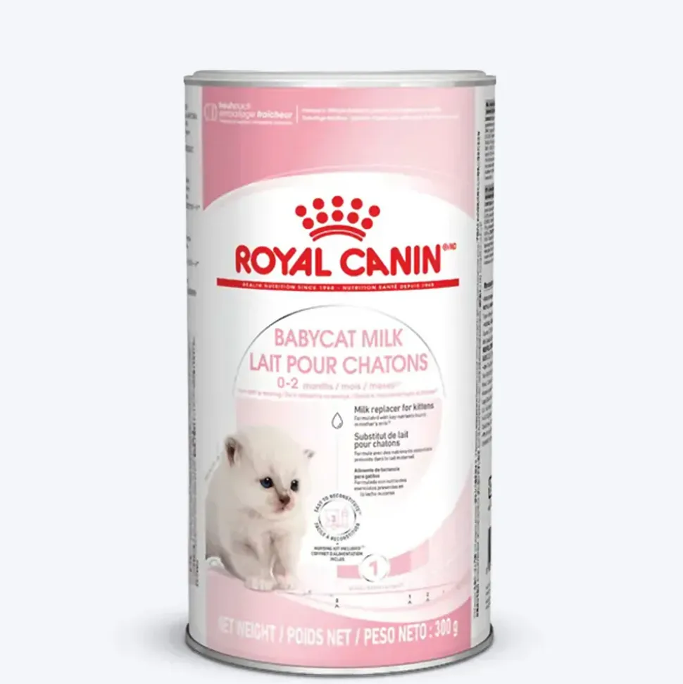Royal Canin Milk Dry Food For Baby Cat / Kitten - 300 gm