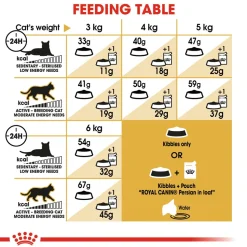 Royal Canin Persian Adult Dry Cat Food