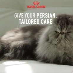 Royal Canin Persian Adult Dry Cat Food