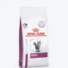 Royal Canin Veterinary Diet Renal Support Dry Food For Cat - 2 Kg