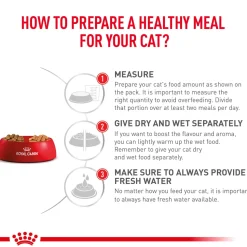 Royal Canin Veterinary Diet Renal Support Dry Food For Cat - 2 Kg