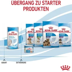 Royal Canin Baby Dog 1st Age Milk