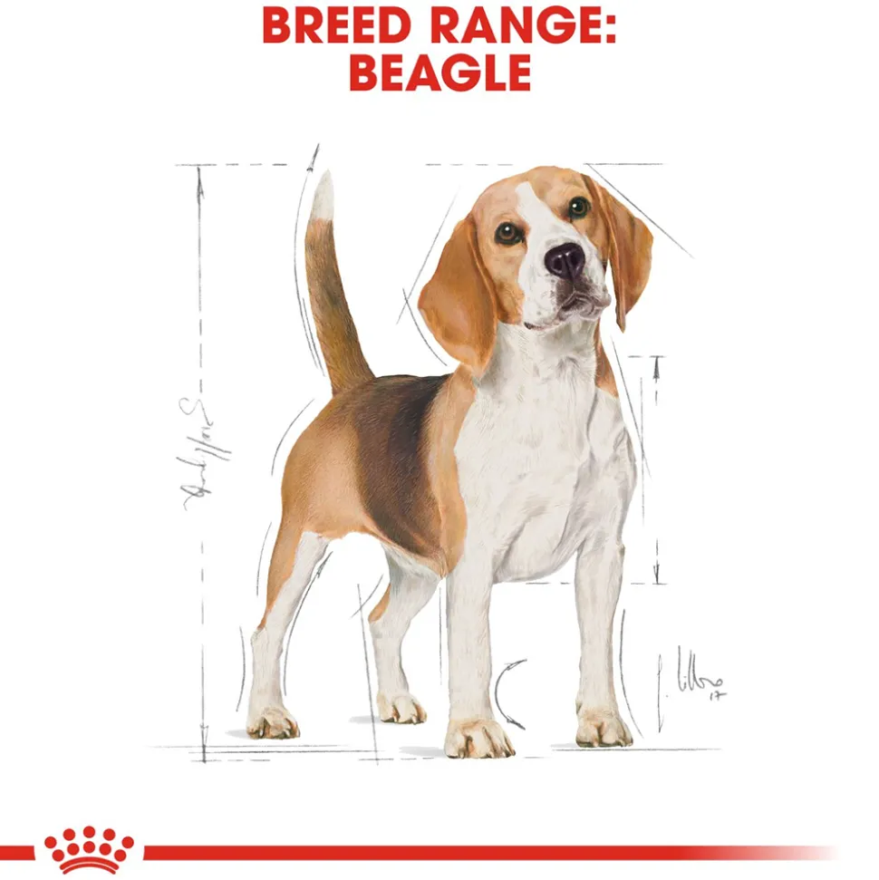 Royal Canin Beagle Adult Dry Dog Food