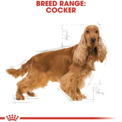 Royal Canin Cocker Adult Dry Dog Food - 3 kg