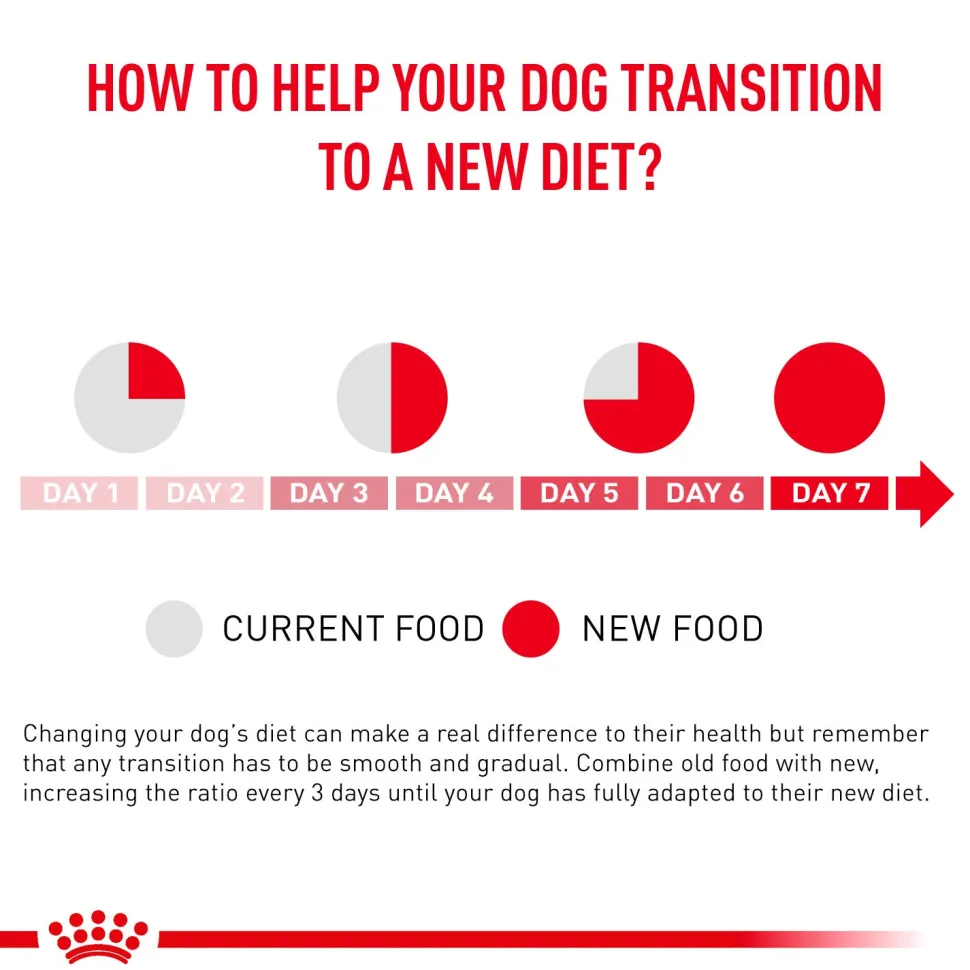 Royal Canin Gastrointestinal Wet Food Can For Dog - 400 g