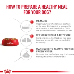 Royal Canin Gastrointestinal Wet Food Can For Dog - 400 g