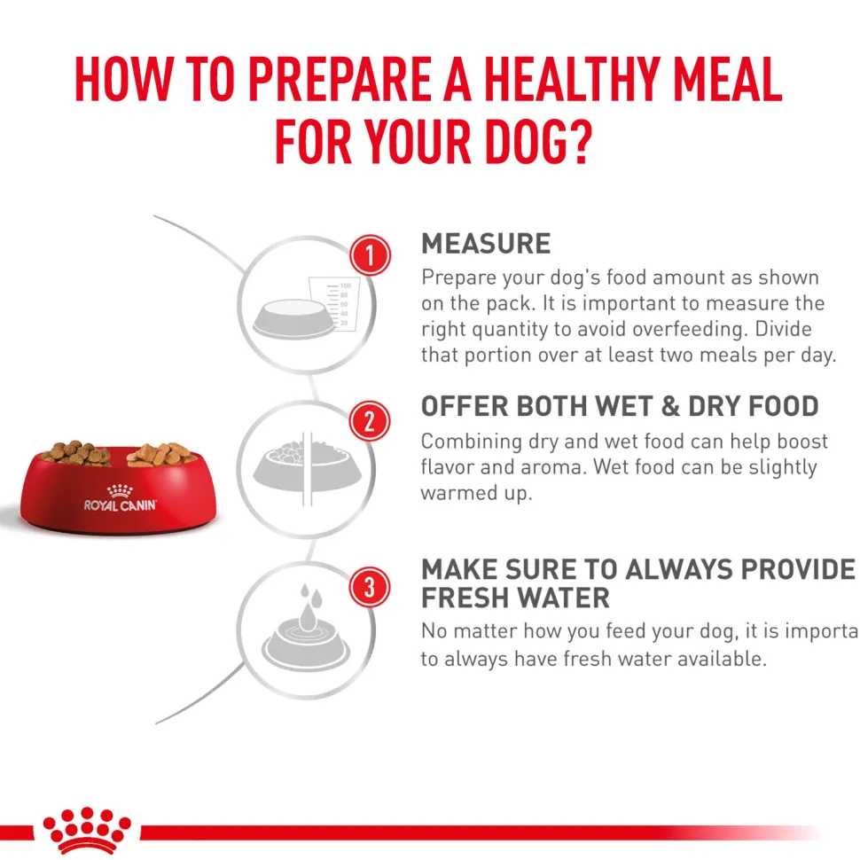 Royal Canin Gastrointestinal Wet Food Can For Dog - 400 g