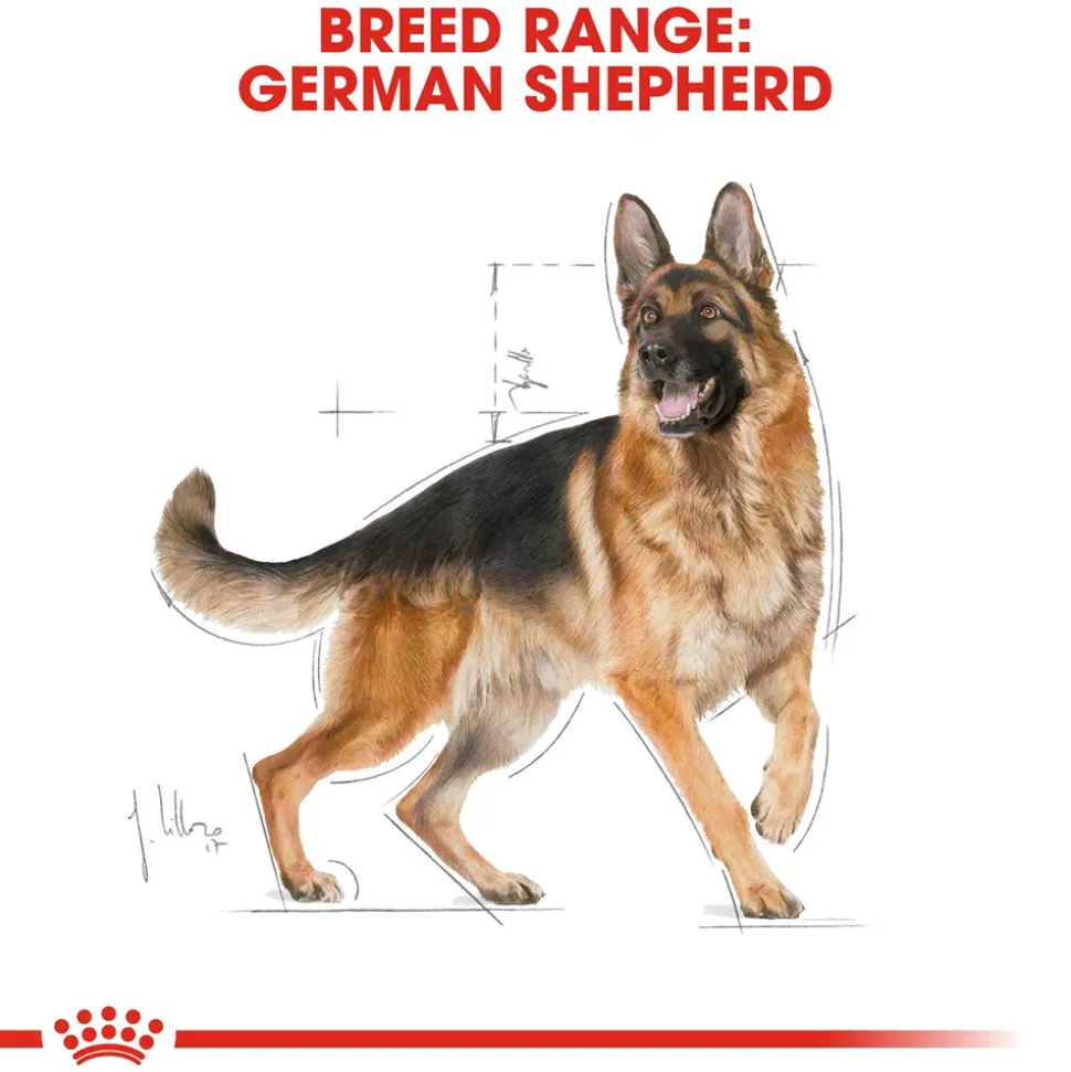 Royal Canin German Shepherd Adult Dry Dog Food