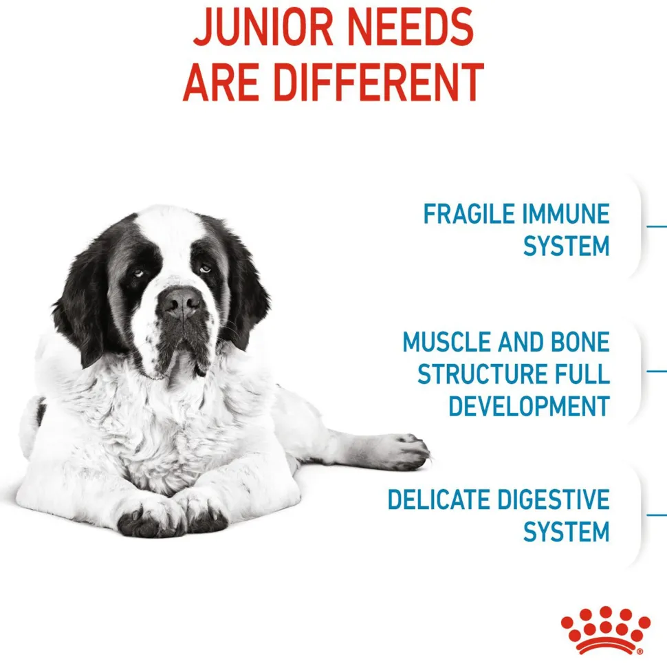 Royal Canin Giant Junior Dry Dog Food
