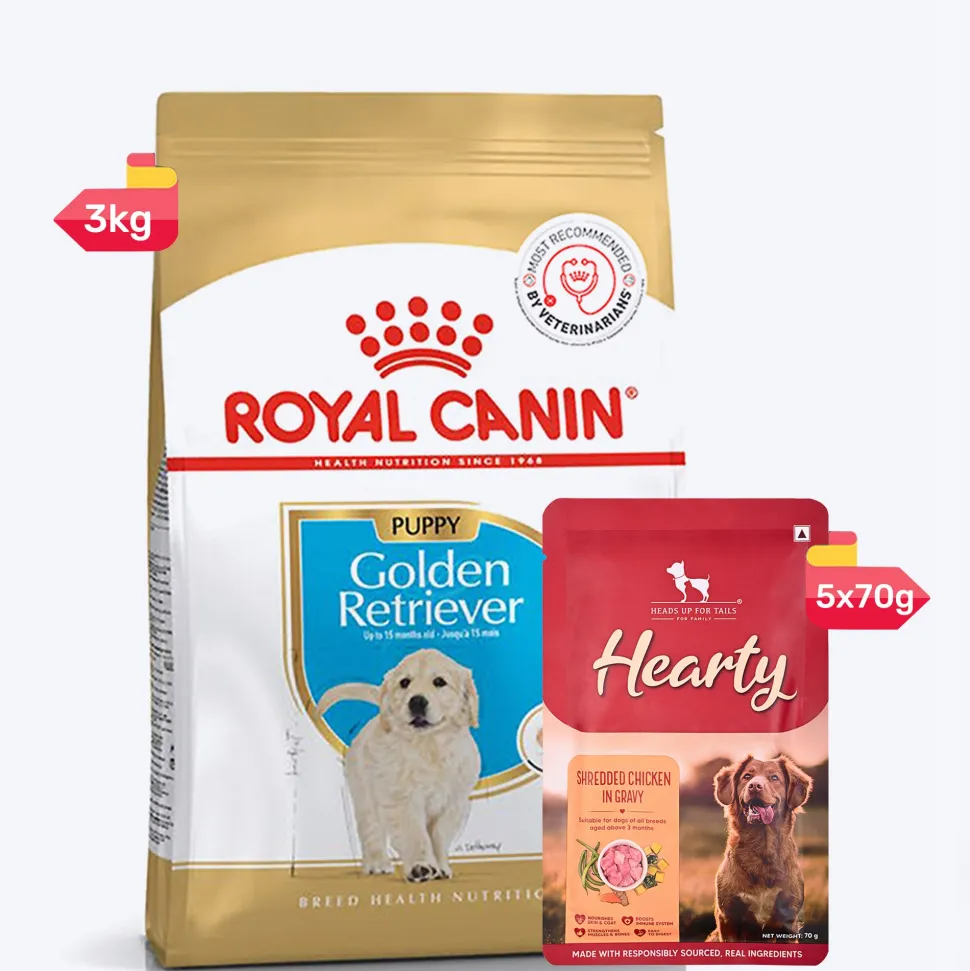 Royal Canin Golden Retriever Puppy Dry Dog Food