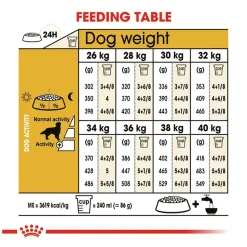 Royal Canin Golden Retriever Puppy Dry Dog Food