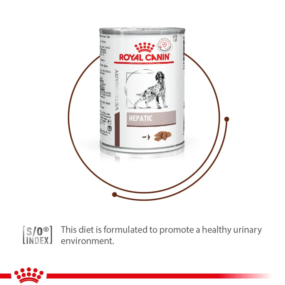Royal Canin Hepatic Can Wet Food For Dog - 420 gm
