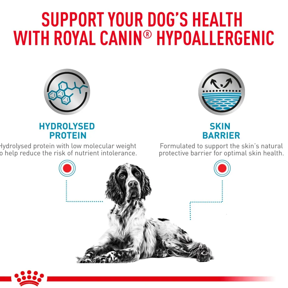 Royal Canin Hypoallergenic Veterinary Diet Wet Dog Food - 400 g