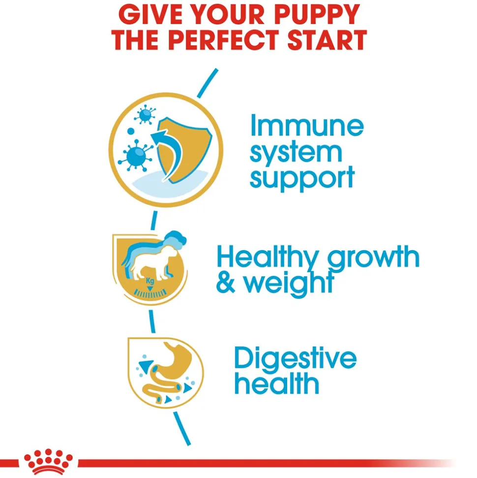 Royal Canin Labrador Retriever Puppy Dry Dog Food