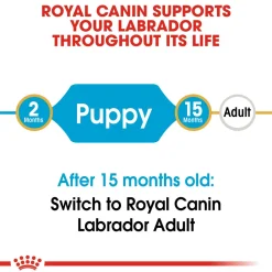 Royal Canin Labrador Retriever Puppy Dry Dog Food