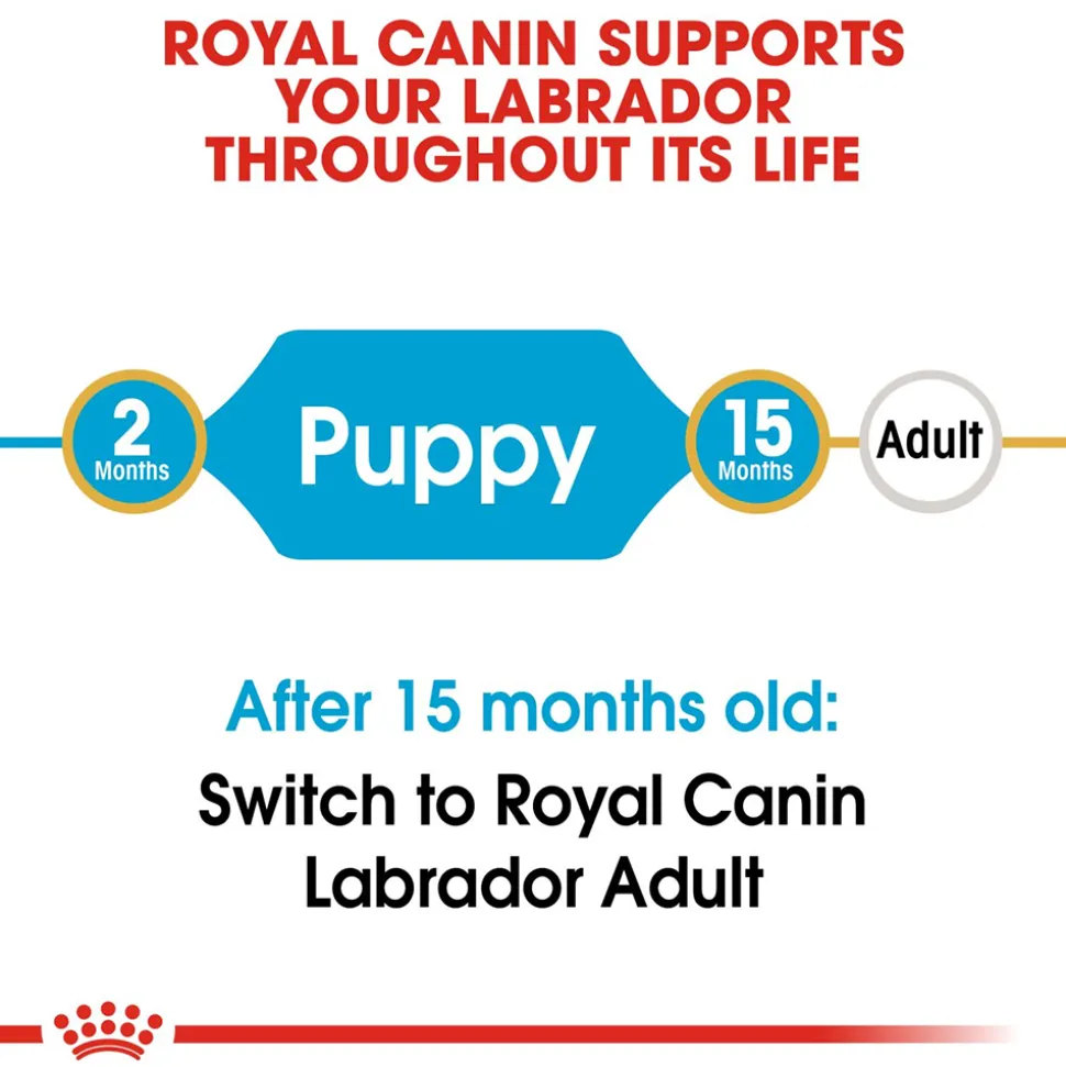 Royal Canin Labrador Retriever Puppy Dry Dog Food