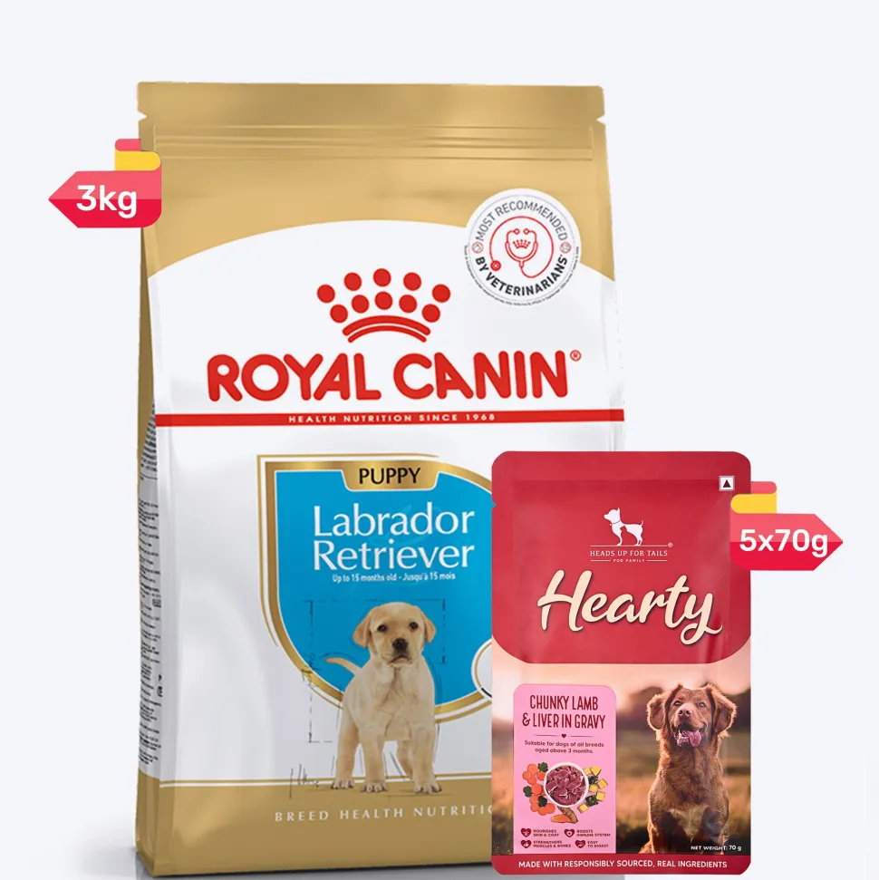 Royal Canin Labrador Retriever Puppy Dry Dog Food
