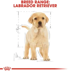 Royal Canin Labrador Retriever Puppy Dry Dog Food