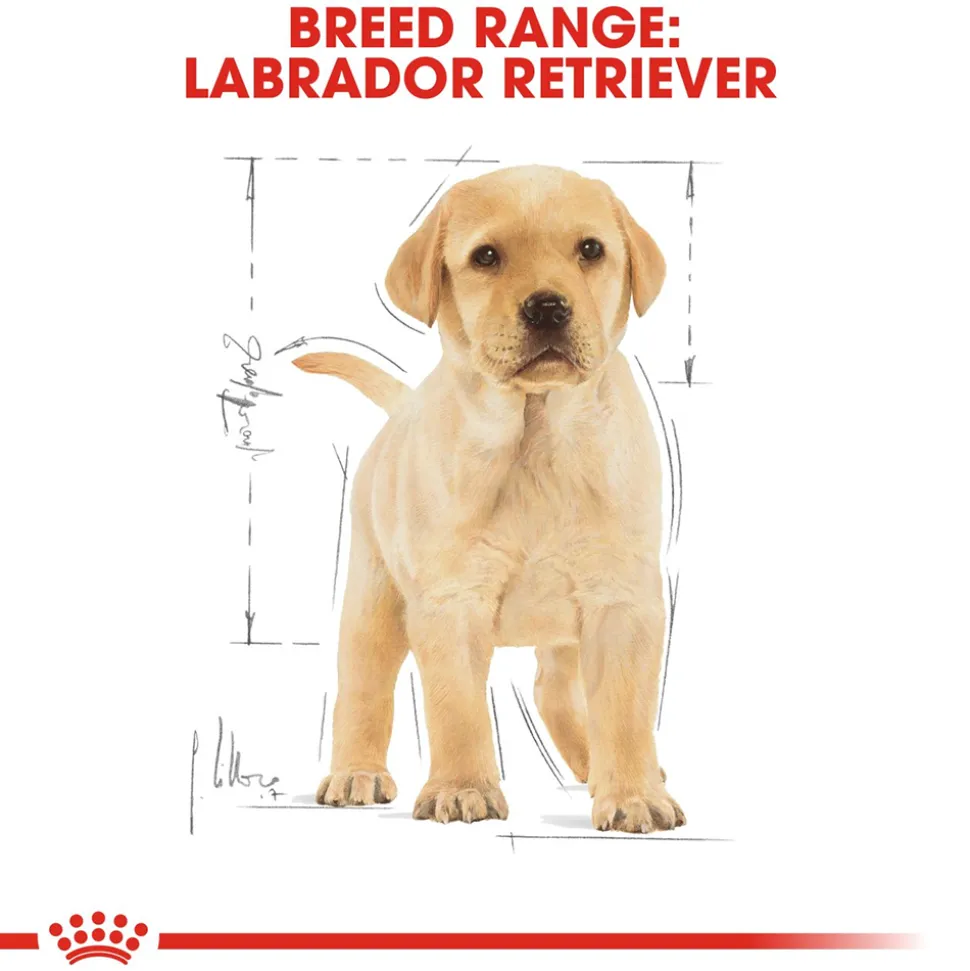 Royal Canin Labrador Retriever Puppy Dry Dog Food